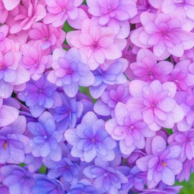 chimatuj's profile picture. 💛💙よりの⛄️箱推しです⛄️9人み～んな大好きです     
皆さんのつぶやきをのぞきたくて新しく垢を作りました。いいね、RT、無言フォロー失礼致します。
すべての絵師✒️さんに感動しています