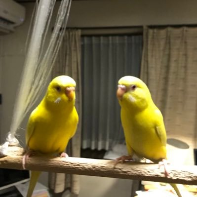 座右の銘:慢心は大火傷の元 @KccSchedule @keio_reminder @tmo_1031 @lisaabramowicz1 人工知能の結末は3%のデフレ8%の実質成長を引き起こす。マクロと金融論は慶應経済学の難関双璧。#SpoxCHN_MaoNing #Jessica_201604 #toshio814
