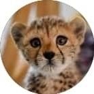 janan (@jananpanah) 's Twitter Profile Photo janan (@jananpanah) 's Twitter Profile Photo