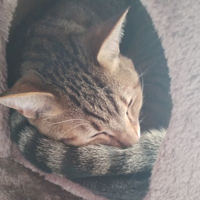 3z_at(サズアト) Profile