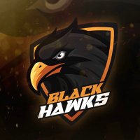 Black Hawks (@blackhawkssa) 's Twitter Profile