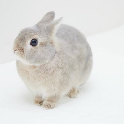 firefly_squid3's profile picture. MAKE MY DAY ‼︎