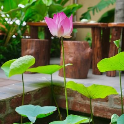 soidem08's profile picture. 