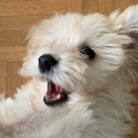 Aetienne (@0xaetienne) 's Twitter Profile Photo Aetienne (@0xaetienne) 's Twitter Profile Photo
