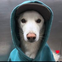 jrhdan2xx (@jrhdan2xx) 's Twitter Profile