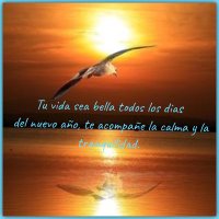 LEONOR ARISTIZABAL OSSA (@leonor_ossa) 's Twitter Profile