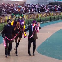 ポップ2周目も新馬戦 (@popshinbasen) 's Twitter Profile