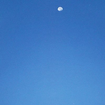 royejii's profile picture. 