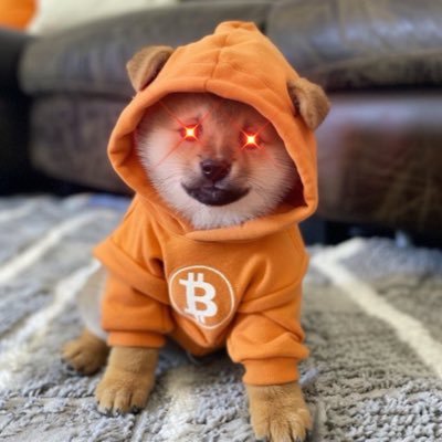 Investor & Entrepreneur. $DOG, $BTC, $ADA, $MSTR, $WGMI. Reposting alpha and ideas, nfa!