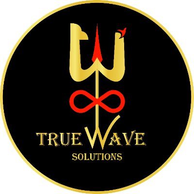 TrueWaveSolutions: A Market leader in ERP, SAP, Tech Consulting, Digital Transformation & emerging Tech as keeping Offshore assistance & tailored Services.