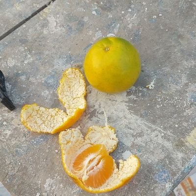 Gourang0's profile picture. 