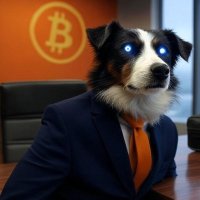 ⚡️⚡️🐶Bitcoin Dog (@bitcointosaveus) 's Twitter Profile Photo ⚡️⚡️🐶Bitcoin Dog (@bitcointosaveus) 's Twitter Profile Photo