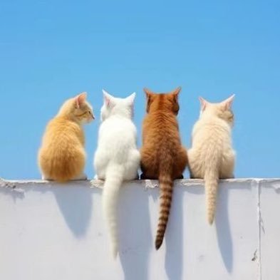 Helmi_Syafiq86's profile picture. “Just remember. Drink the coffee before it goes cold.”