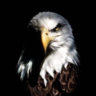 quickened2him's profile picture. Slave to Christ, Quickened by His sovereign grace. Husband, father, wielding Scripture’s sword to glorify God alone (Ps. 119:50).