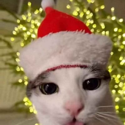 skiddle23's profile picture. 