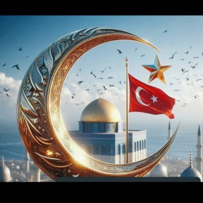 furkan_musa's profile picture. 