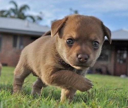 seehosun's profile picture. 이 땅이 진정한 자유민주주의 국가로 거듭나길 간절히 희망한다.  그러나 붉은세력들의 민주주의는 틀렸다. 그들의 민주주의는 이땅을 황폐화 시킬 뿐이다. 
언젠가 찾아올 그날을 위하여..