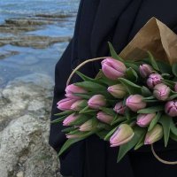 ال'شيماء🌸🇩🇿 (@chaima540788392) 's Twitter Profile