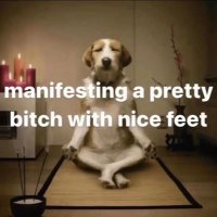 stay over there (@pistolapetee) 's Twitter Profile