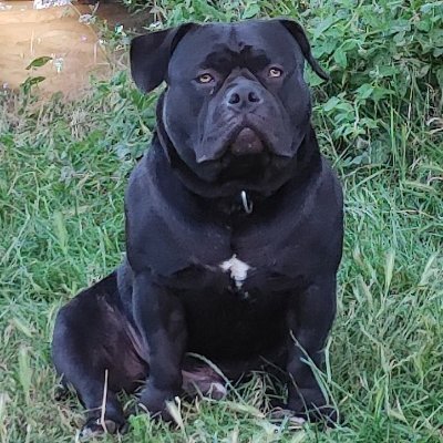 TilosEdu's profile picture. Bouffeur de casse-couilles , d'oligarques , de lobbyistes , de capitalistes , de sionistes, de terroristes et d'opportunistes ! Euskadi Ta Askatasuna !!!