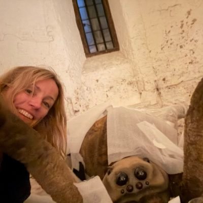 Head of Interpretation & Design @hrp_palaces, trustee @maryrosemuseum, member @exetercathedral FAC ❤️ 6 palaces, a pagoda, a ship & a cathedral. Views all mine.
