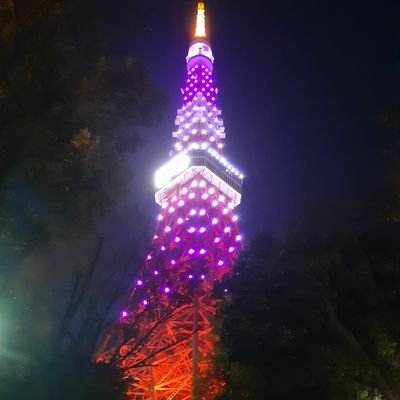 ★乃木坂46 鈴木佑捺ちゃん、一ノ瀬美空ちゃん推し ★吉本新喜劇 小寺真理ファン ★パラレルサイダー 葉月みつは推し 特盛ちゃんの名は、小寺真理が命名 野球は千葉ロッテファン