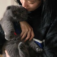 cay . . (@najeongzip) Twitter profile photo