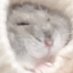aris (@_3ll7_) Twitter profile photo aris (@_3ll7_) Twitter profile photo