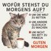 Garten Maus (@mausgarten) Twitter profile photo Garten Maus (@mausgarten) Twitter profile photo