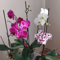 DERİN🥰. /Giresun (@giresun281010) 's Twitter Profile Photo