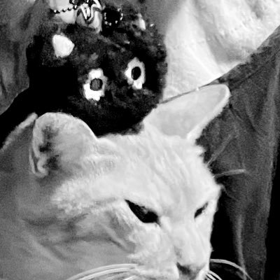 🙆♀️威神V #WayZenNi ひっそり強火なテンちゃんペンです🐈⬛TEN (NCT/WayV) #10vely📯Love music and watching dance 🪩 No problems, good life👍✨