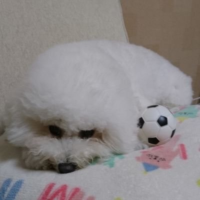 ハルさんのプロフィール画像