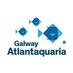 Galway Atlantaquaria (@galwayaquarium) Twitter profile photo Galway Atlantaquaria (@galwayaquarium) Twitter profile photo