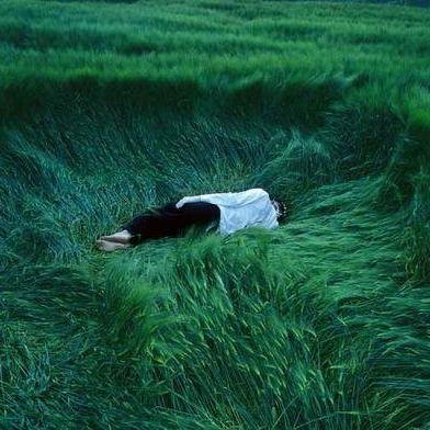 adithyasrc's profile picture. yo