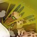 LaughtNSFW 🔜 SAFE (@laughtn) Twitter profile photo LaughtNSFW 🔜 SAFE (@laughtn) Twitter profile photo