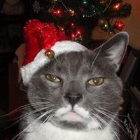 ! Jolly up (@goldenbanina) 's Twitter Profile