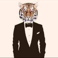 🇰🇷AMICUS🇺🇸 (@rokff91) 's Twitter Profile