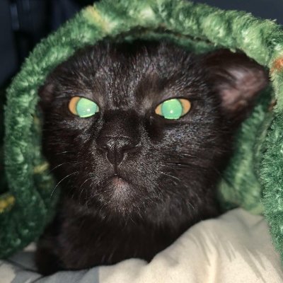 mariusz_pirek's profile picture. Zwykły wyrobnik. Serce po Prawej stronie. Kocha Polskę!