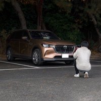 まきてぃ (@cxmakity) 's Twitter Profile