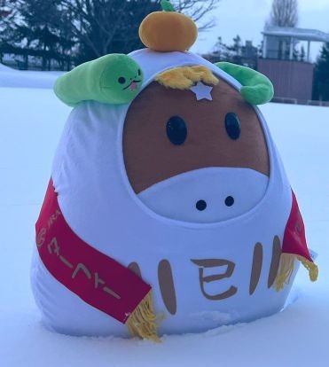 reiwa21maikun's profile picture. 無言フォロー歓迎です👌
主なポスト番組は
#nhkらじらー #乃木のの #onej
#ゆなtime  #乃木談 #のぎおび #ラヴィット  #沈黙の金曜日 #乃木坂46ANN #乃木坂LOCKS

好きなジャンルは
#料理 #音楽 #競馬 #乃木坂46
#バラエティ番組 #旅番組 #料理番組 などなどです