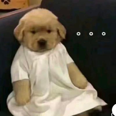 mzhou820216's profile picture. 