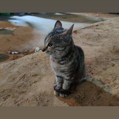 LavdaLa14992945's profile picture. ...