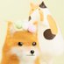 nori (@shibainuweb3) Twitter profile photo nori (@shibainuweb3) Twitter profile photo