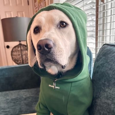 Link_Memorial's profile picture. 