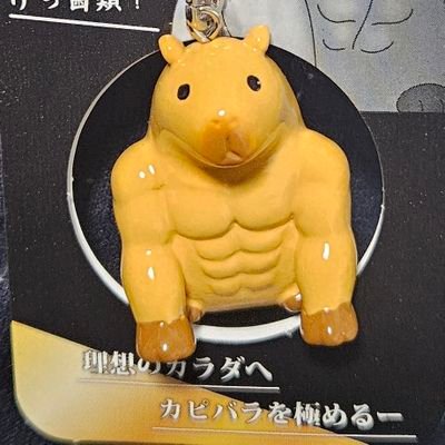 カピバラさんさんのプロフィール画像