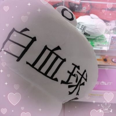 take_kururu_ru's profile picture. 佐藤健くんが大好きです💕
カプ推しはごめんなさい。
自分で呟くよりもリツイートする方が遥かに多いです。