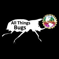 All Things Bugs (@allthingsbugs) 's Twitter Profile