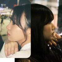 チワワ推しの人 (@chihuahua_yui_) 's Twitter Profile