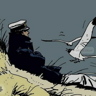 BuaHaus's profile picture. 