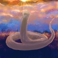 オセアン (@iaia_c) 's Twitter Profile